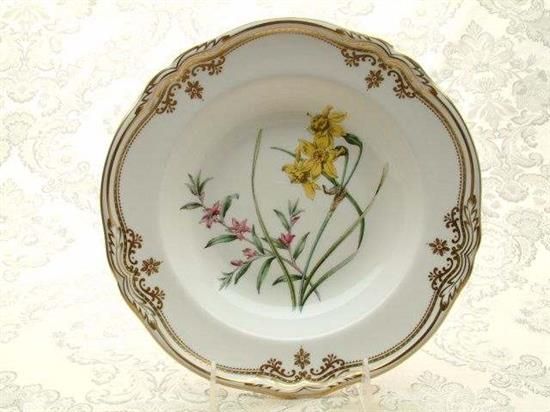 Picture of New Soup Plates