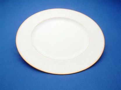 Picture of New Dinner Plate