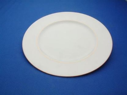 Picture of New Dinner Plate