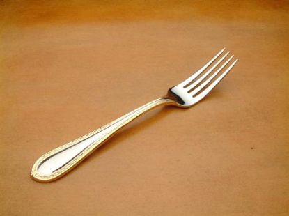 Picture of Place Forks: