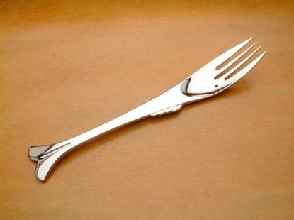 Picture of Place Forks