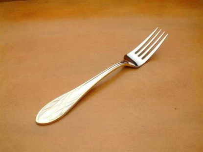 Picture of Place Forks