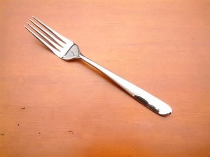 Picture of Place Forks: