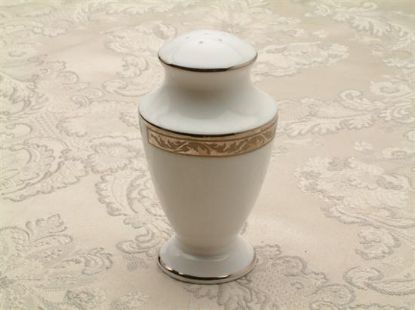 Picture of New Salt Shaker