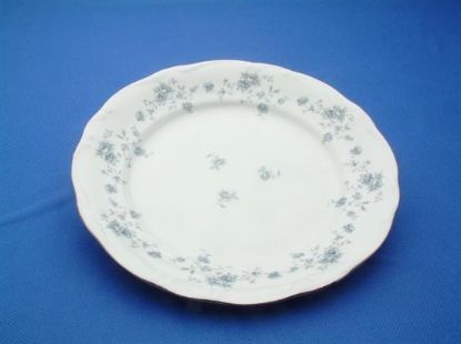 Picture of Dinner Plates