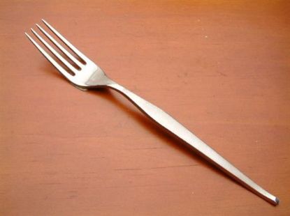 Picture of Place Forks: