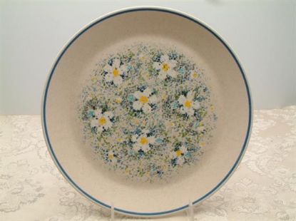 Picture of Dinner Plates