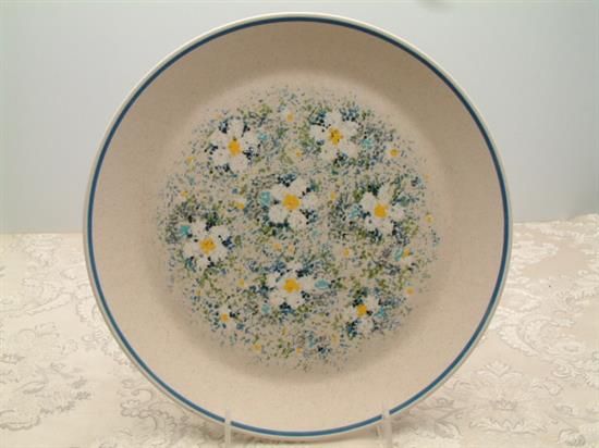 Picture of Dinner Plates