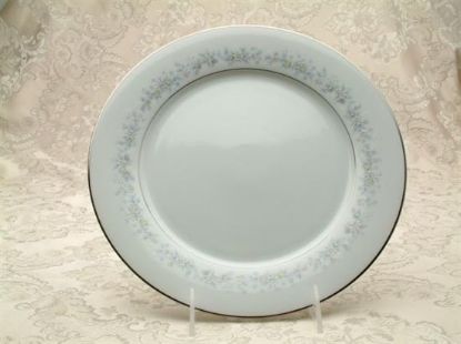 Picture of Dinner Plates