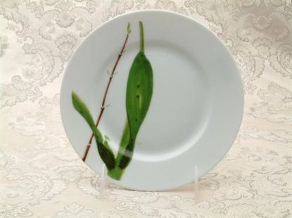 Picture of Salad Plates