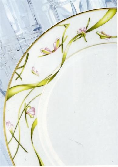 Picture of New Service Plate 12"