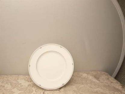 Picture of Dinner Plates