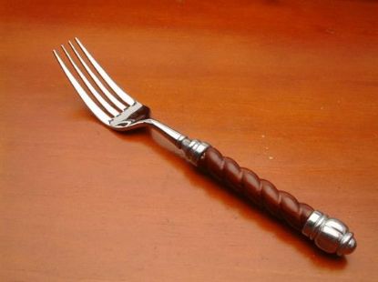 Picture of Place Forks