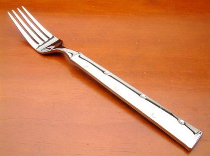 Picture of Place Forks