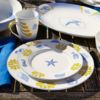 Picture of Dinner Plates