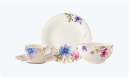 Picture of New Dinner Plate