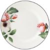 Picture of New Dinner Plate