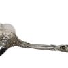 Picture of Dominick & Haff 'Renaissance' Sterling Silver Asparagus Server