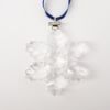 Picture of Swarovski Annual Edition Snowflake Ornament 1996 with Original Box & COA