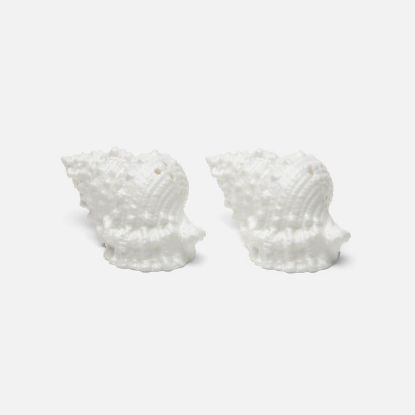 Picture of 'Coco' White Shell Salt & Pepper Shaker Set