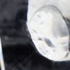 Picture of Lalique Mesanges Candlestick Holder with Birds in Floral Wreath