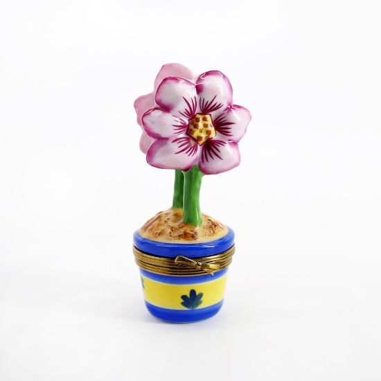 Picture of Limoges Pink Amaryllis in Blue & Yellow Pot Trinket Box