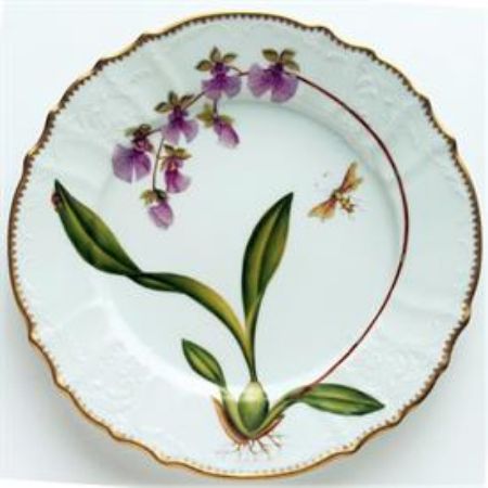 Picture for pattern Orchids