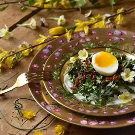 Show products in category Heloise