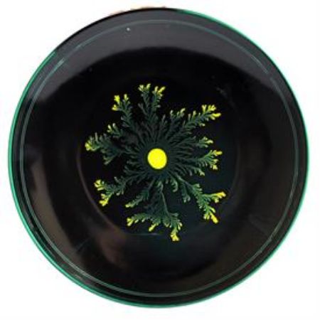 Picture for pattern Petri by Vik Muniz