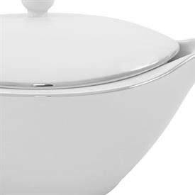 Picture for category Silver