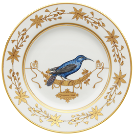 Show products in category Voliere Grimpereau Bleu