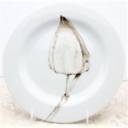 Picture for pattern Moon Light One