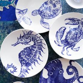 Show products in category Costiera