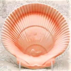 Picture for category Nautilus