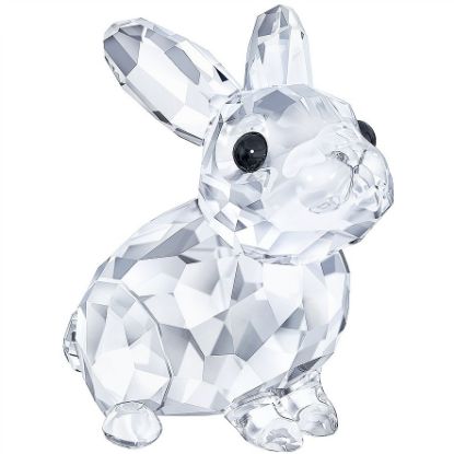 Picture of 'Baby Rabbit' Figurine #5135942 by Swarovski Crystal