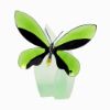 Picture of 'Anamosa' Exotic Butterfly Figurine with Stand #622739 by Swarovski Crystal