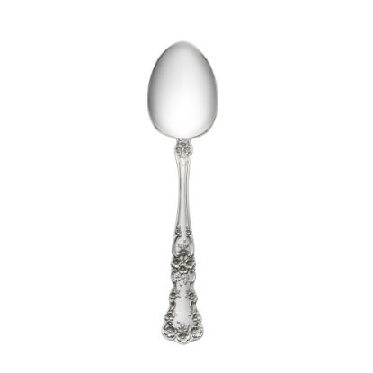 Picture of New Place Spoon