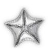 Picture of Starfish Catchall Tray