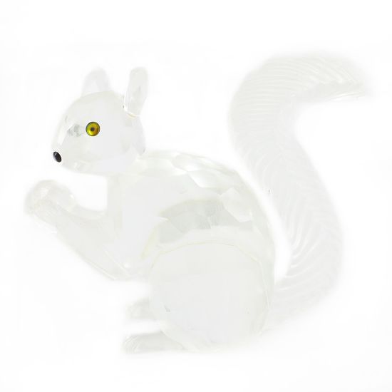 Picture of 10th Anniversary Edition Squirrel