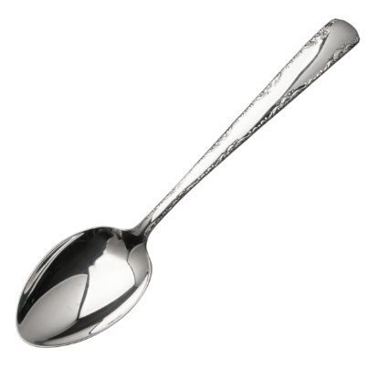 Picture of New Place Spoon
