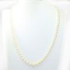 Picture of Strand of Pearls with 14k Yellow Gold Clasp