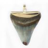 Picture of 14k Yellow Gold Shark Tooth Pendant