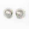 Picture of 14k White Gold Tahitian Black Cultured Pearl & Diamond Halo Earrings