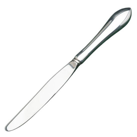 Picture of New Place/Lunch Knife