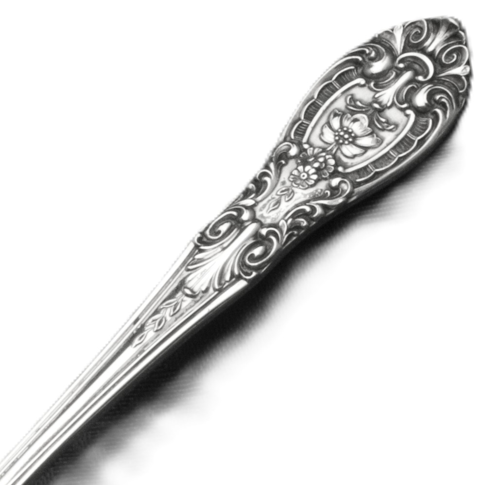 Show products in the Southern Grandeur pattern