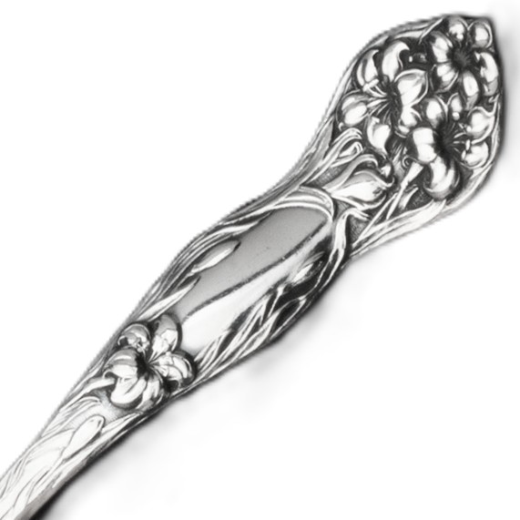 Picture for category Lilyta