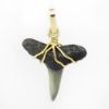 Picture of 14k Yellow Gold Shark Tooth Pendant