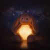 Picture of "Light at Night" Hoppie Rabbit