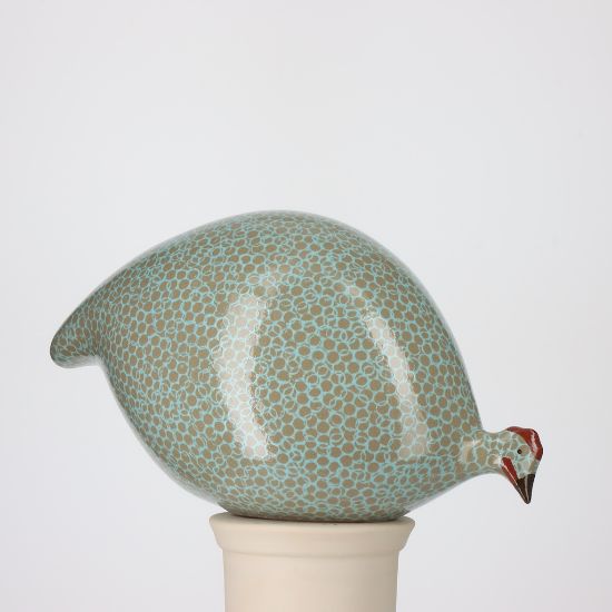 Picture of Pecking (Head Down) Guinea Hen in Grey with Sky Blue Spots