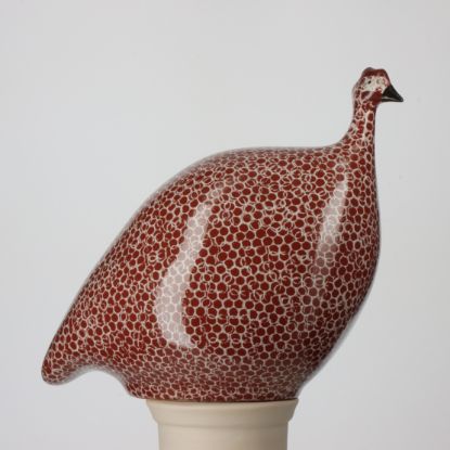 Picture of Medium Bordeaux Guinea Hen with White Spots